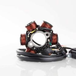 RICKS MOTORSPORT ELECTRICS 21061