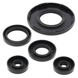 VERTEX PISTONS 55190