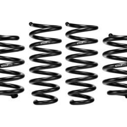 EIBACH E102150010122