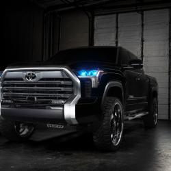 ORACLE LIGHTING 1474334