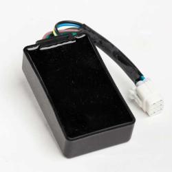 RICKS MOTORSPORT ELECTRICS 15210