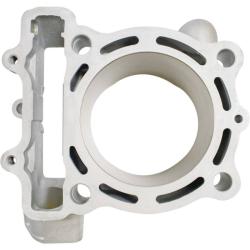 CYLINDER WORKS 310061