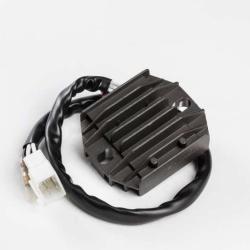 RICKS MOTORSPORT ELECTRICS 10246