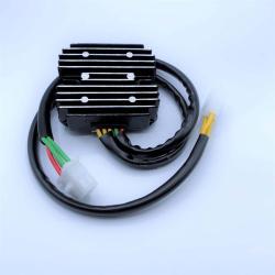 RICKS MOTORSPORT ELECTRICS 14131