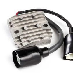 RICKS MOTORSPORT ELECTRICS 10159