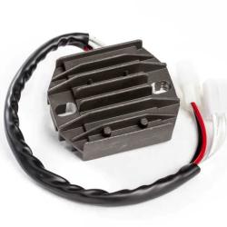 RICKS MOTORSPORT ELECTRICS 10201