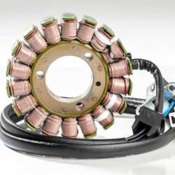 RICKS MOTORSPORT ELECTRICS 21822