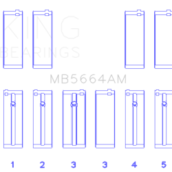 KING ENGINE BEARINGS MB5664AM025
