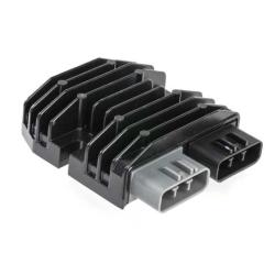 RICKS MOTORSPORT ELECTRICS 10022