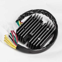 RICKS MOTORSPORT ELECTRICS 10121