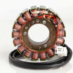 RICKS MOTORSPORT ELECTRICS 21025