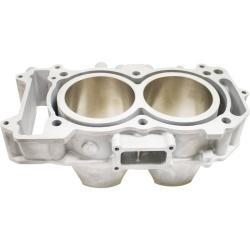 CYLINDER WORKS CW30015K01