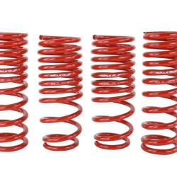 SK Lowering Springs Skunk2 Racing 519-05-1650