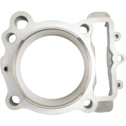 CYLINDER WORKS CW31016K01