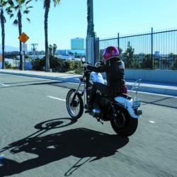 BURLY BRAND B131503C