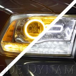 Diode Dynamics DD2021