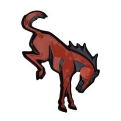 FORD RACING M1447BEBR