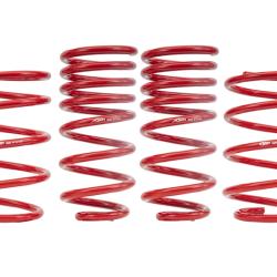BMR Lowering Springs BMR Suspension SP300R
