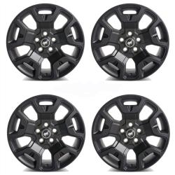 Ford Racing M-1007K-S17BSB