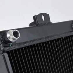 CSF 8258