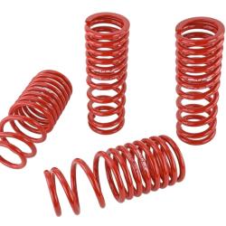 SK Lowering Springs Skunk2 Racing 519-05-1650