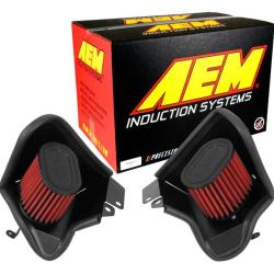 AEM INDUCTION 21819