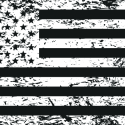 DRAGONFIRE RACING 522126