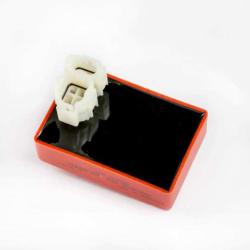 RICKS MOTORSPORT ELECTRICS 15618