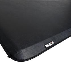 Westin 19-11005
