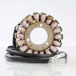 RICKS MOTORSPORT ELECTRICS 21302