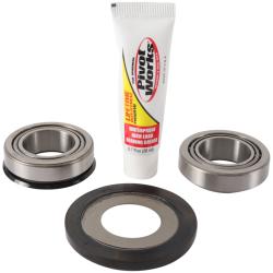 Pivot Works PWSSK-S10-421
