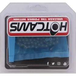 HOT CAMS HCDID25H100