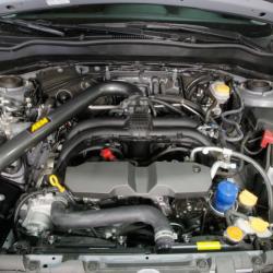 AEM Induction 21-831C