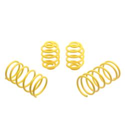 ST SUSPENSIONS 65202