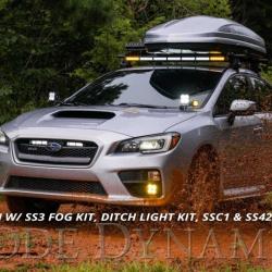 DIODE DYNAMICS DD6010