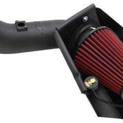 AEM Induction 21-9034DS