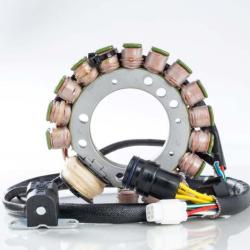 RICKS MOTORSPORT ELECTRICS 21919