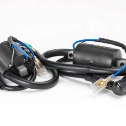 RICKS MOTORSPORT ELECTRICS 23103