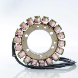 RICKS MOTORSPORT ELECTRICS 21023