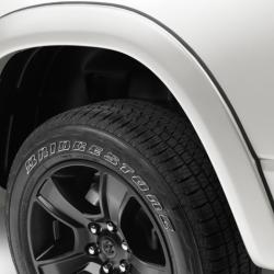 Bushwacker 50928-25