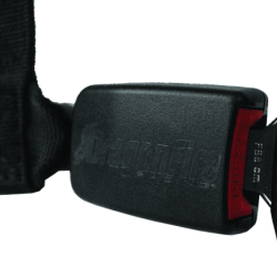 DRAGONFIRE RACING 522046