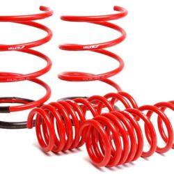 SK Lowering Springs Skunk2 Racing 519-05-1570