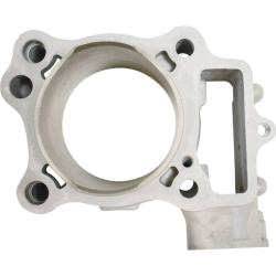 CYLINDER WORKS 110041