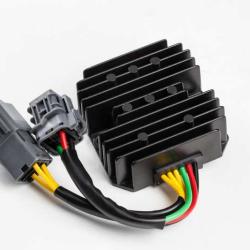 RICKS MOTORSPORT ELECTRICS 10701