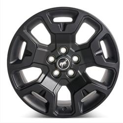 FORD RACING M1007S17BSB