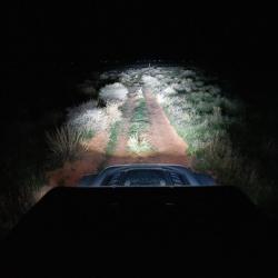 ORACLE LIGHTING 5917023