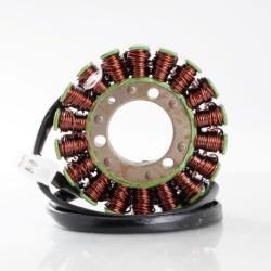 RICKS MOTORSPORT ELECTRICS 21210