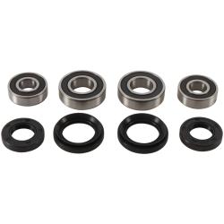 PIV Wheel Bearing Kit Pivot Works PWFWK-H11-420