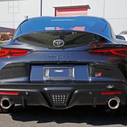 PERRIN PERFORMANCE PTPBDY250BK