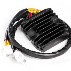 RICKS MOTORSPORT ELECTRICS 10118H